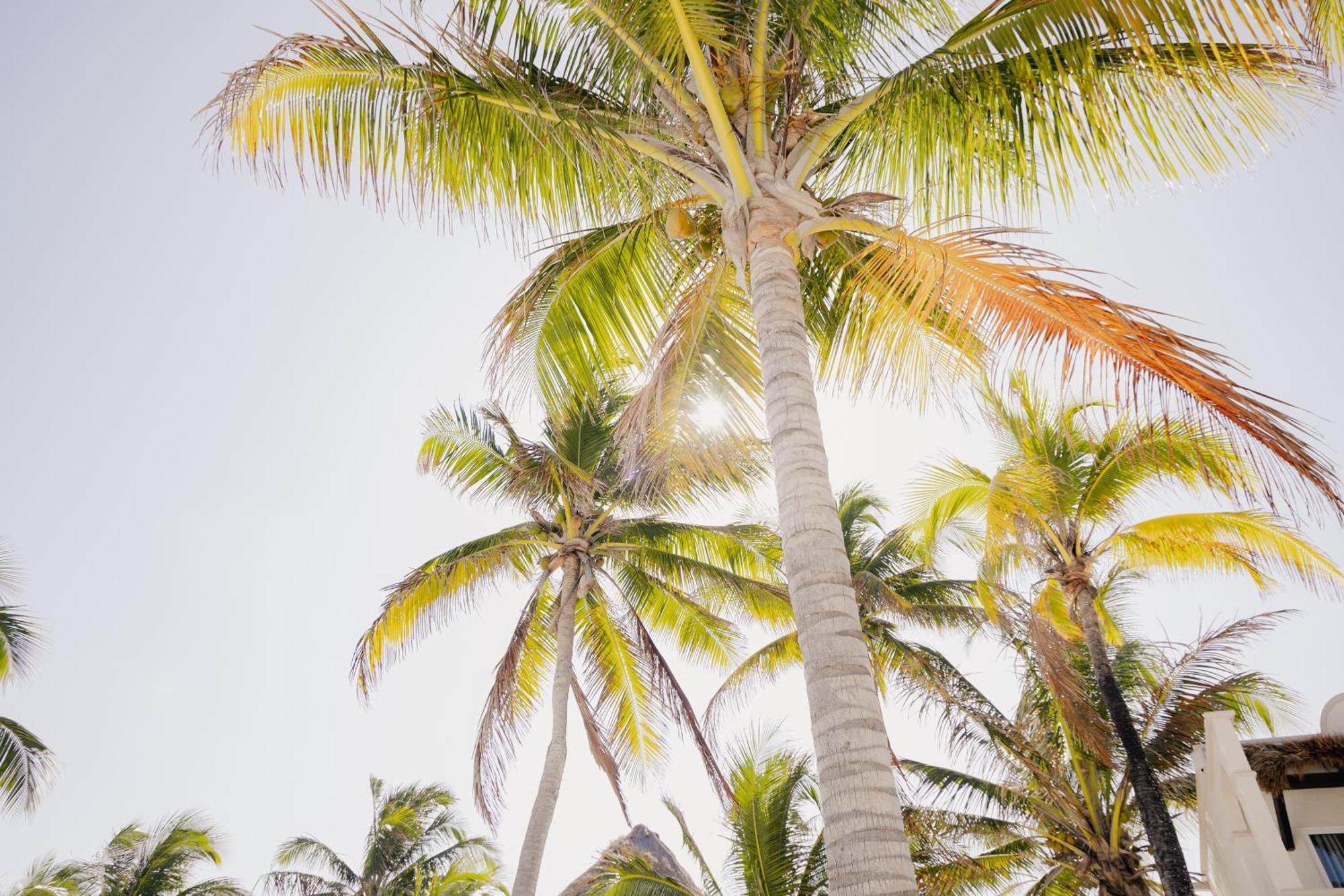 Hotel Vr Club Tulum Riviera Exteriér fotografie